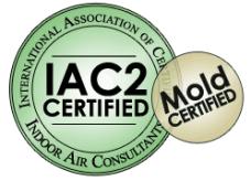 Indoor Air and Mold Inspections in Las Vegas and Henderson